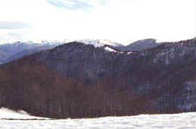 foto: F.Ferreri