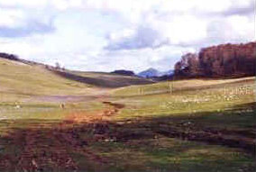 foto: F.Ferreri