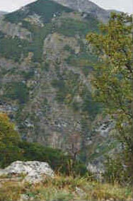 foto: F.Ferreri