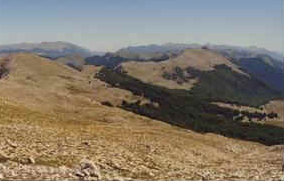 foto: F.Ferreri