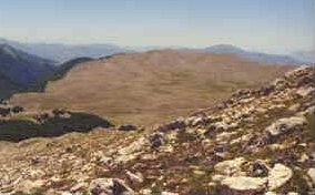 foto: F.Ferreri