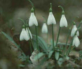 foto: F.De Angelis