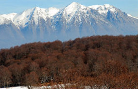 foto: M.Minorenti