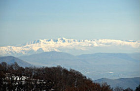 foto: M.Minorenti