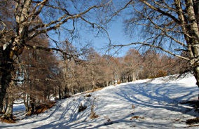 foto: M.Minorenti