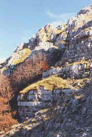 foto: F.Ferreri