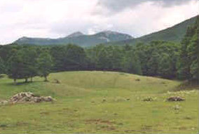 foto: F.Ferreri