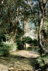 foto: F.Ferreri