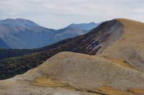 foto: F.Ferreri