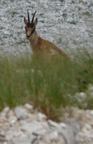 foto: D.Vincitorio