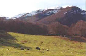 foto: F.Ferreri