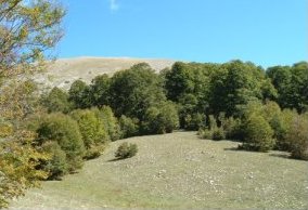 foto: E.Poggi