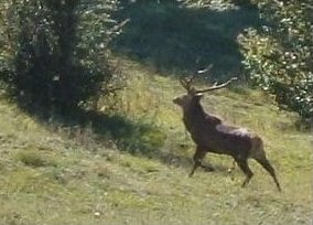 foto: E.Poggi