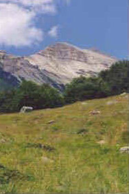 foto: F.Ferreri