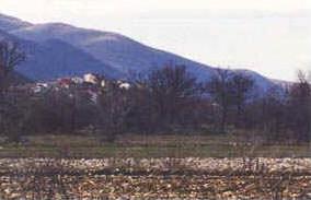 foto: F.Ferreri