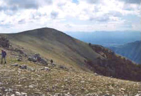 foto: F.Ferreri