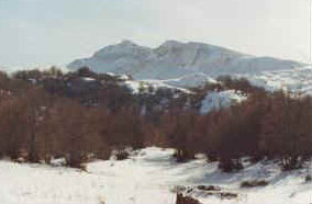 foto: F.Ferreri