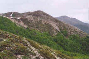foto: F.Ferreri