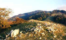 foto: F.Ferreri