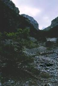 foto: F.Ferreri