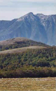 foto: F.Ferreri