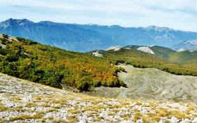 foto: F.Ferreri