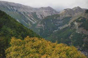 foto: F.Ferreri