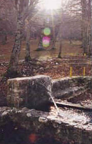 foto: F.Ferreri