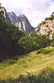 foto: F.Ferreri