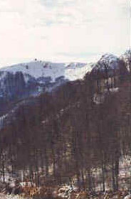 foto: F.Ferreri