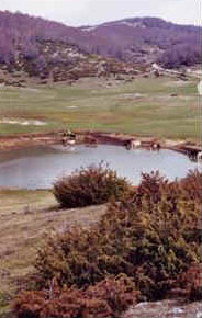 foto: F.Ferreri