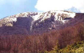 foto: F.Ferreri