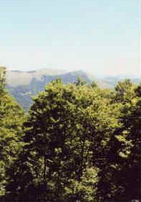 foto: F.Ferreri