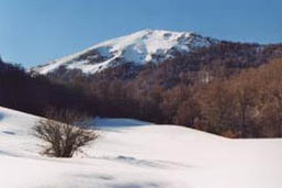 foto: F.Ferreri
