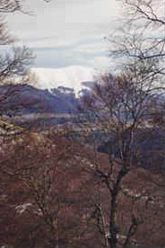 foto: F.Ferreri