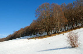 foto: M.Minorenti