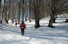 foto: M.Minorenti