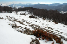 foto: M.Minorenti