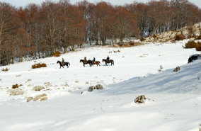 foto: M.Minorenti