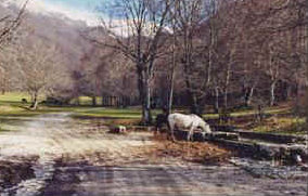 foto: F.Ferreri