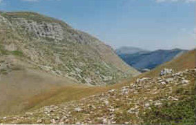 foto: F.Ferreri