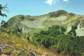 foto: F.Ferreri