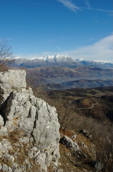 foto di F. Ferreri