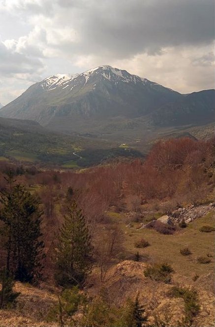 foto di A. Federici
