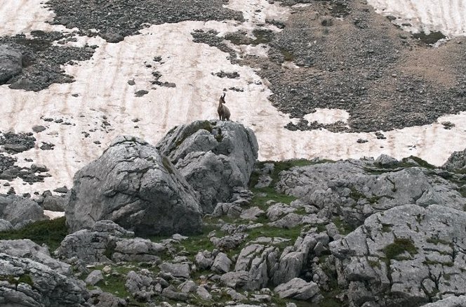 foto di A. Federici