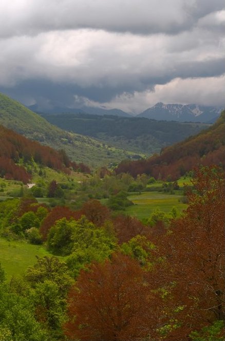 foto di A. Federici