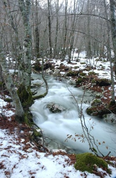 foto di F. Ferreri