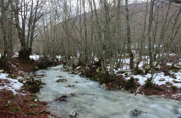 foto di F. Ferreri
