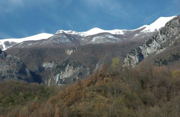 foto di F. Ferreri