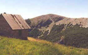 foto: F.Ferreri